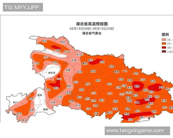 app糖心-app糖心的故事与发展概览-app糖心